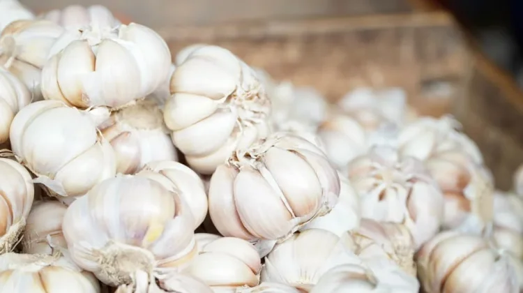 Bapanas Panggil Importir, Harga Bawang Putih Ditargetkan Turun