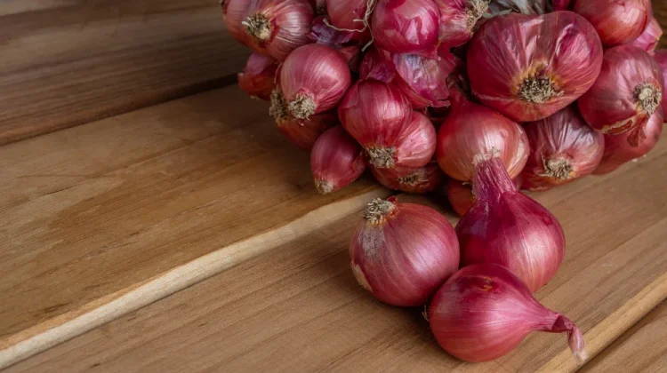 Kementan Pastikan Harga Bawang Merah Stabil