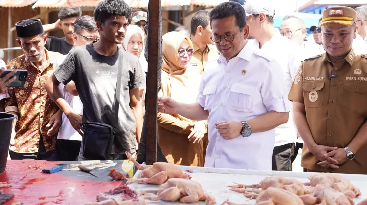 Mendag Pastikan Aktivitas Perdagangan di Kabupaten Pidie Telah Pulih