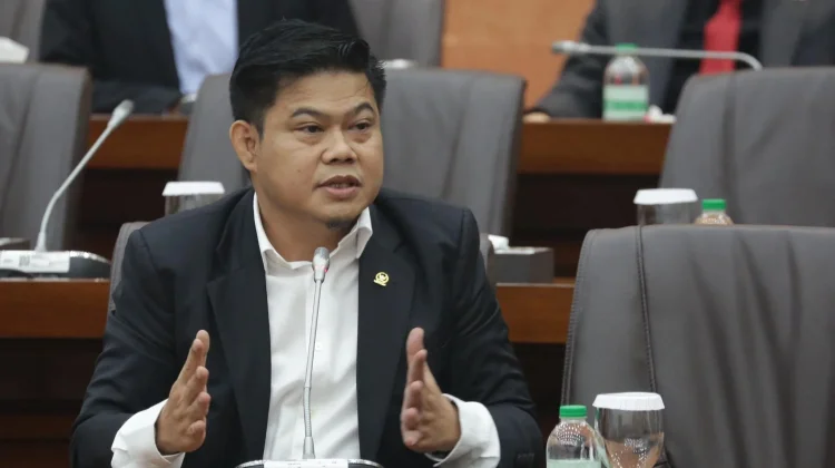 DPR Khawatirkan Kondisi 45 WNI di Jalisco