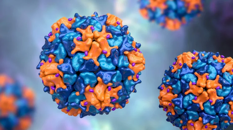 Zambia Umumkan Wabah Polio setelah Virus Terdeteksi dalam Limbah Air