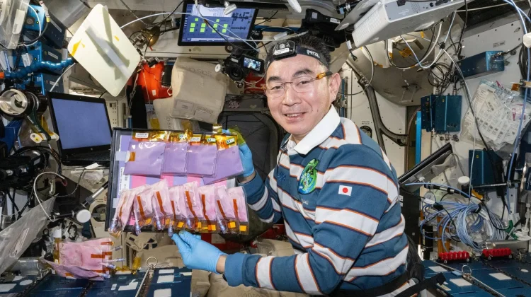 NASA akan Analisis Sampel Makanan Fermentasi dari Luar Angkasa
