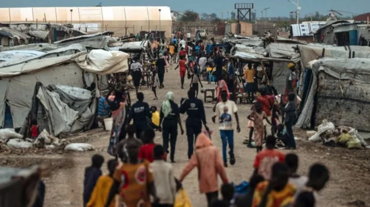 Human Initiative Salurkan Kurban bagi Pengungsi Afrika Timur