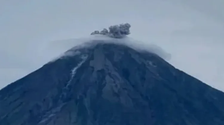 Semeru Erupsi, Kolom Abu Capai 500 Meter