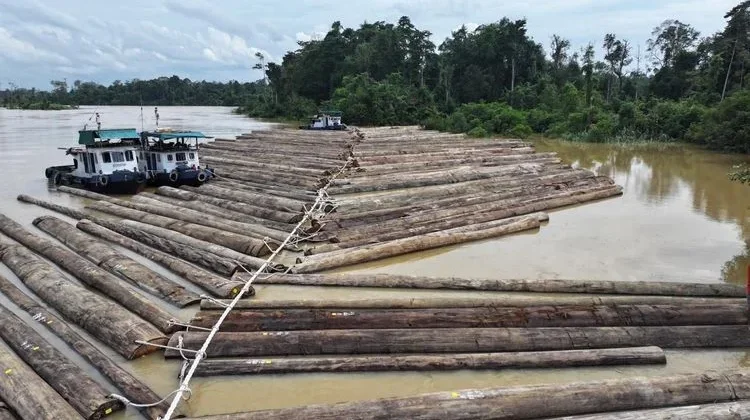 Rakit Kayu di Sungai Kapuas, Kemenhut Pastikan Legal dan Terverifikasi