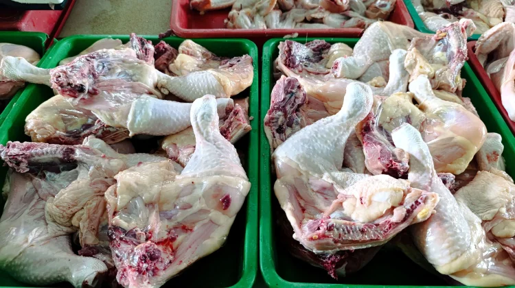 Harga Ayam Sumut Stabil jelang Idulfitri 2026