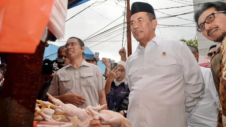 Bapanas Klaim Harga Cabai dan Ayam Turun Nasional