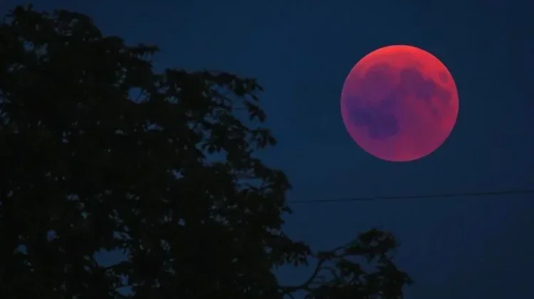 Langit Indonesia Dihiasi Gerhana Bulan Total Awal Maret 2026, Ini Jadwalnya