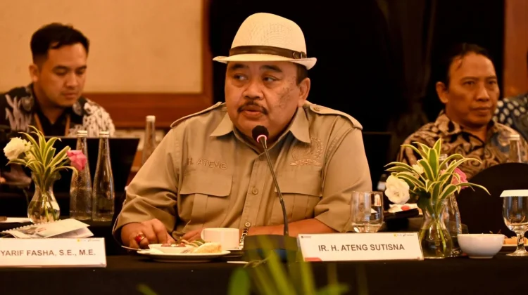 Legislator Ini Minta Tinjau Ulang Proyek Geothermal Telaga Rano