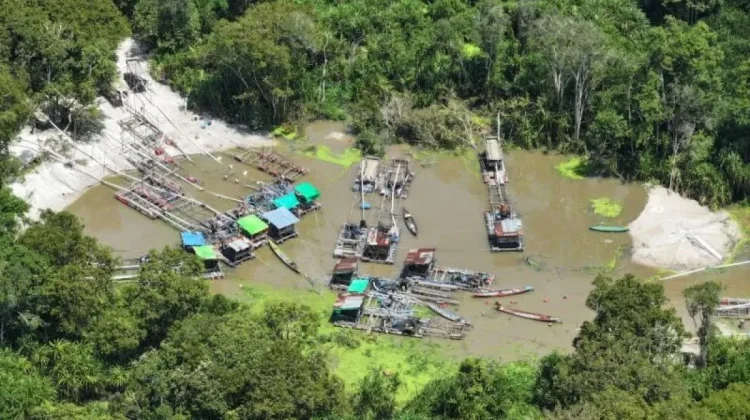 Kemenhut Jerat 12 Penambang Ilegal Tanjung Puting