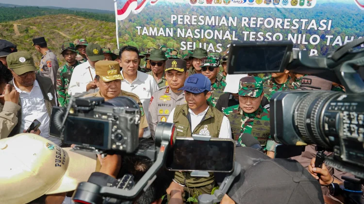 Reforestasi Taman Nasional Tesso Nilo, Pulihkan Habitat Gajah Sumatera