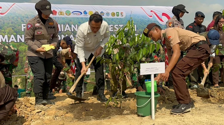 KLH Siapkan Data Jasa Lingkungan untuk Dukung Restorasi Tesso Nilo
