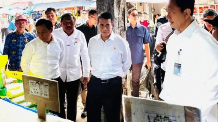 Stok Cadangan Beras Nasional Ditargetkan Tembus 5 Juta Ton