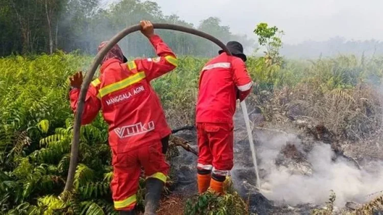 Karhutla di Bengkalis dan Pelalawan Riau Berhasil Dikendalikan