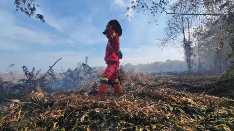 Manggala Agni Gerak Cepat Kendalikan Karhutla di Riau