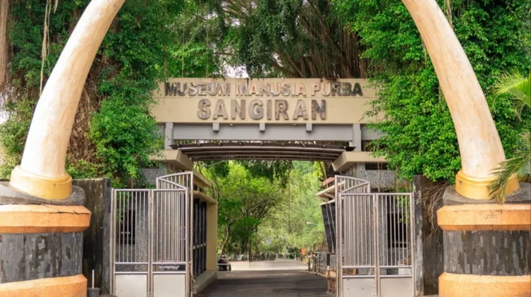 Kurator Harap Metode 'Bit Arrangement' Segera Diterapkan di Museum Sangiran