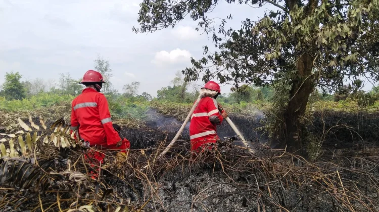 Di Tengah Ramadan, Petugas Terus Padamkan Karhutla di Kalbar