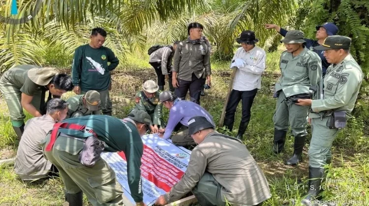 Kementerian Kehutanan Target Pulihkan 80 Ribu Hektare Habitat Gajah di Bengkulu
