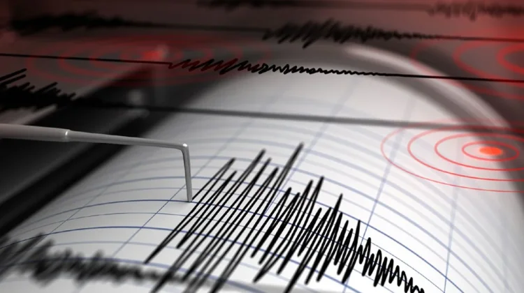 Gempa M4,7 Guncang Tojo Una-Una, Tidak Berpotensi Tsunami