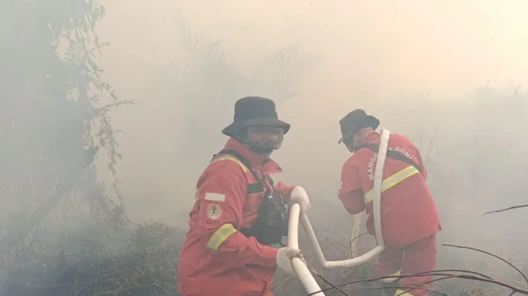 Manggala Agni Padamkan Karhutla Habitat Harimau Sumatra di Riau