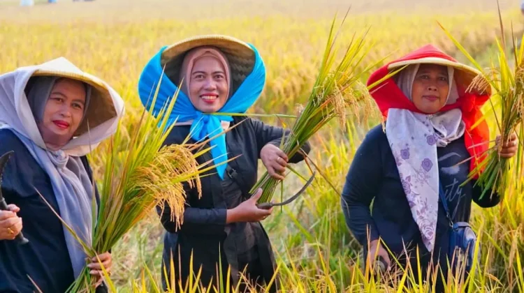 Pemerintah Proyeksikan Stok Beras Nasional Capai 47,1 Juta Ton 2026