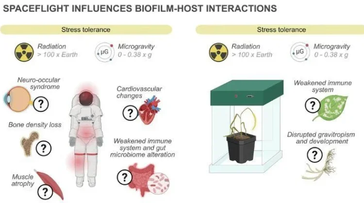 NASA Ungkap Biofilm Dapat Bantu Kehidupan Manusia di Luar Angkasa