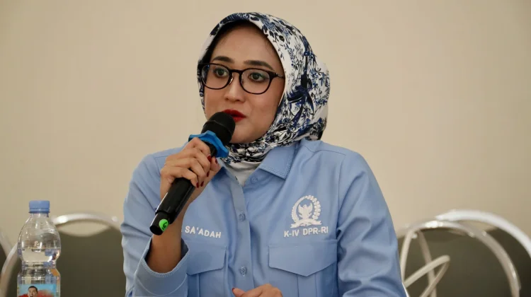 Kemarau 2026 Lebih Ekstrem, Komisi IV DPR Khawatir Ancam Produksi Beras Nasional
