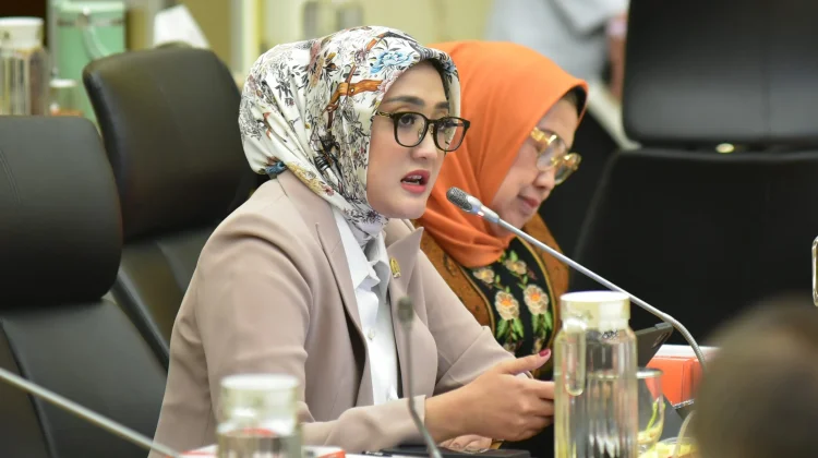 Musim Kemarau 2026, DPR Ingatkan Penting Penyesuaian Pola Tanam Daerah Kering