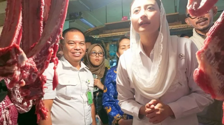 Bapanas Pastikan Stok Daging Sangat Aman