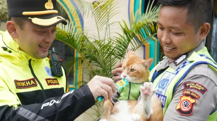 'Polisi Kucing' Polres Bogor Curi Perhatian Saat Patroli Arus Mudik Lebaran