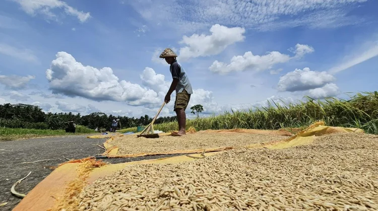 Pemerintah Bersyukur Pasokan Pangan Mencukupi dan Harga Terjangkau