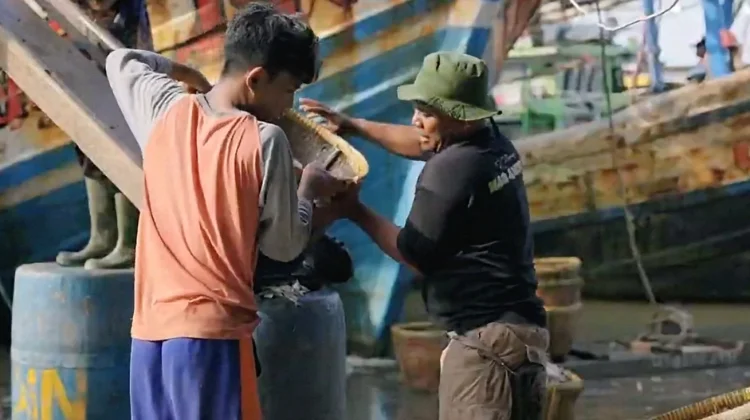Lebaran Tanpa Rob, Warga Kampung Nelayan Indramayu Rayakan Hari Raya Dengan Tenang