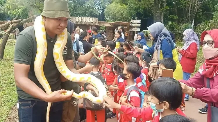 Arus Balik Lebaran 2026, Wisata dan Ruang Publik Solo Dipadati Pemudik