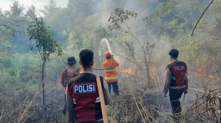 Titik Panas Meningkat, BMKG Kaltim Ingatkan Potensi Karhutla