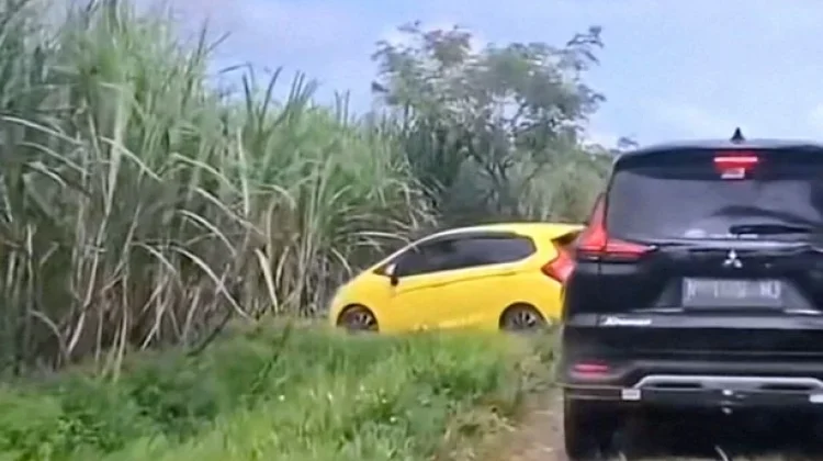 Sejumlah Mobil Pemudik Tersesat di Persawahan Diduga Ikuti Arahan Navigasi