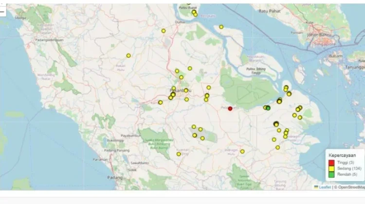 Belasan Titik Api di Riau, Pemadaman Diperkuat dari Udara