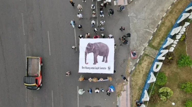Gerakan Earth Hour 2026: Menginspirasi Dunia untuk Segera Lakukan Transisi Energi