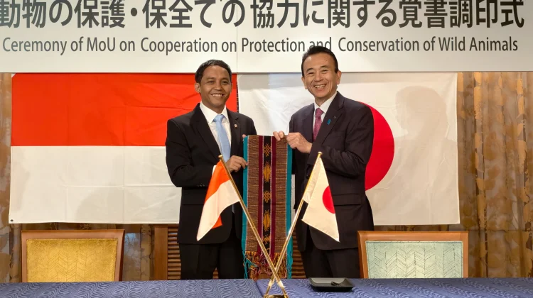 Indonesia–Jepang Teken MoU Konservasi, Fokus Program Breeding Loan Komodo