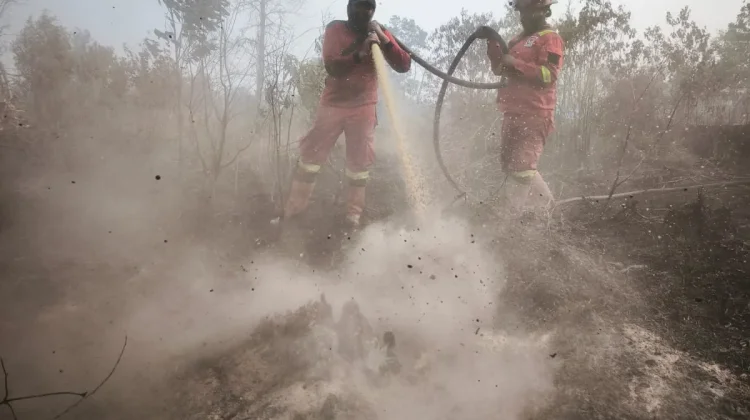 Kemenhut Intensifkan Pengendalian Karhutla di Riau, 266 Titik Panas Terpantau