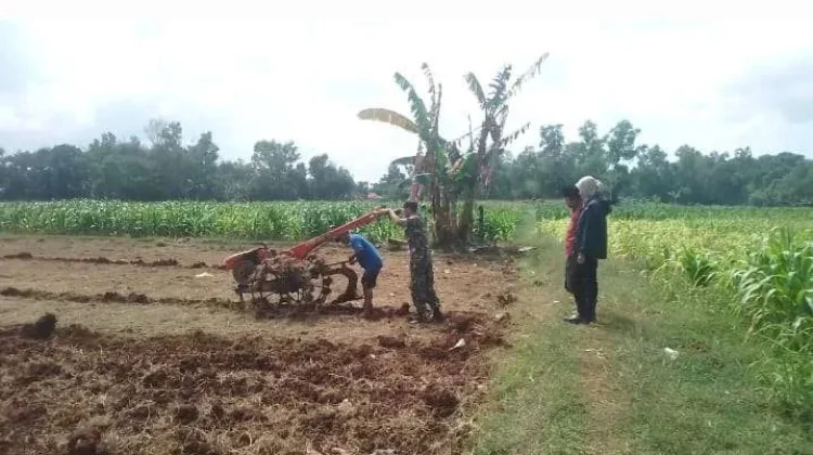Konflik Timur Tengah, Komisi IV DPR Wanti-Wanti Harga Pupuk Nasional Meroket