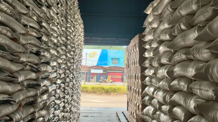 Pemerintah: Stok Pangan RI Aman di tengah Gejolak Timteng
