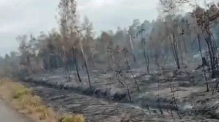 Hotspot Menurun, BPBD Natuna Siapkan Water Bombing