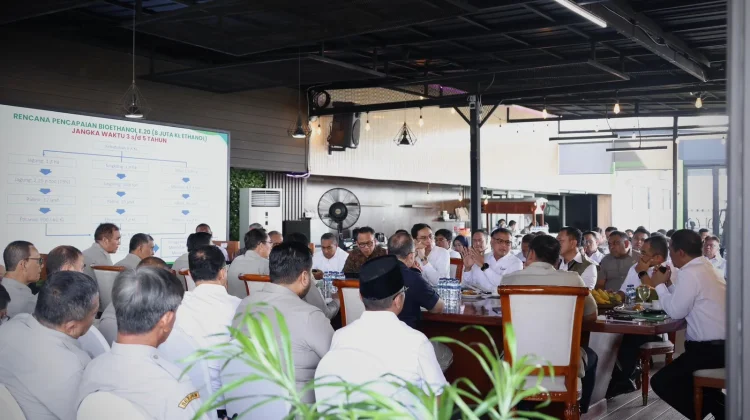 Mentan Kembangkan Bensin Campuran Etanol E20