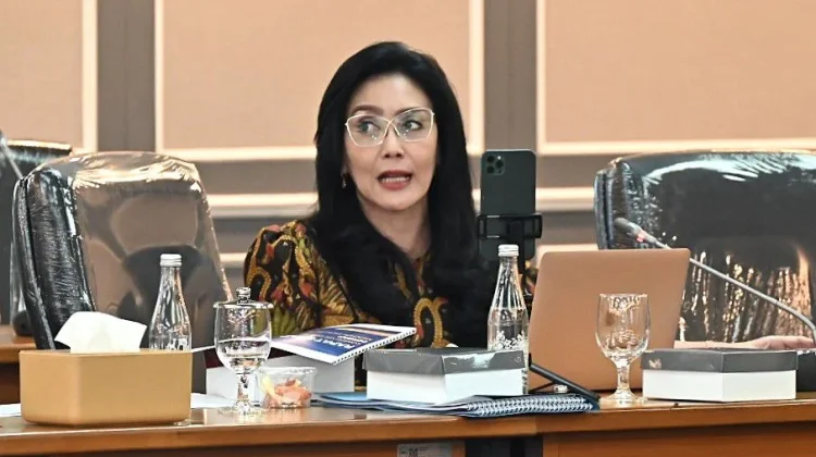 Legislator Soroti Potensi Multitafsir dalam RUU Kewarganegaraan