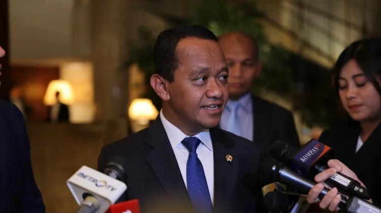 Perkuat Ketahanan Energi, Indonesia Dorong Jepang Percepat Proyek Blok Masela