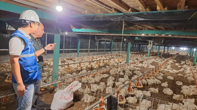 Pemerintah Tidak Naikkan Tarif Listrik di Triwulan II 2026, PLN Siap Jaga Keandalan