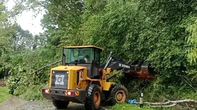 Longsor Tutup Jalur Padang-Medan, Akses Sempat Lumpuh
