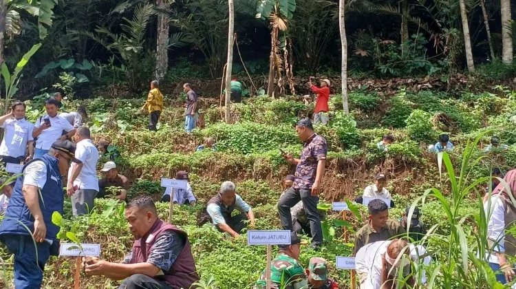 DPR: Peningkatan Deforestasi Sinyal Bahaya Masa Depan Lingkungan Indonesia