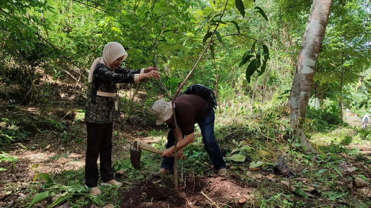 Kemenhut Diminta Berani Tegakan Hukum untuk Pelaku Deforestasi Ilegal