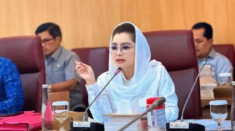 Komisi V DPR Tegaskan Digitalisasi Solusi Tingkatkan Daya Saing Produk Lokal Desa